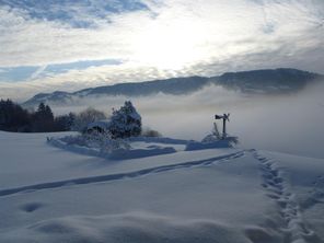 Blick vom Balkon