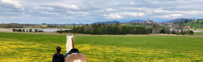 Ortsansicht Seeg im Frühling