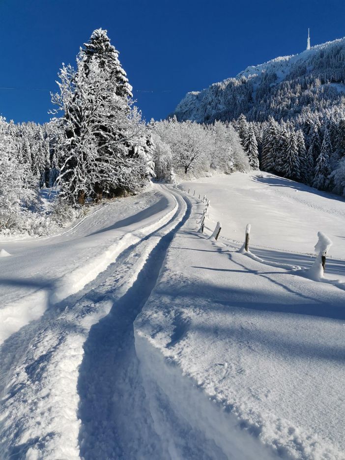 Winterwandermöglichkeiten ab Ferienhof