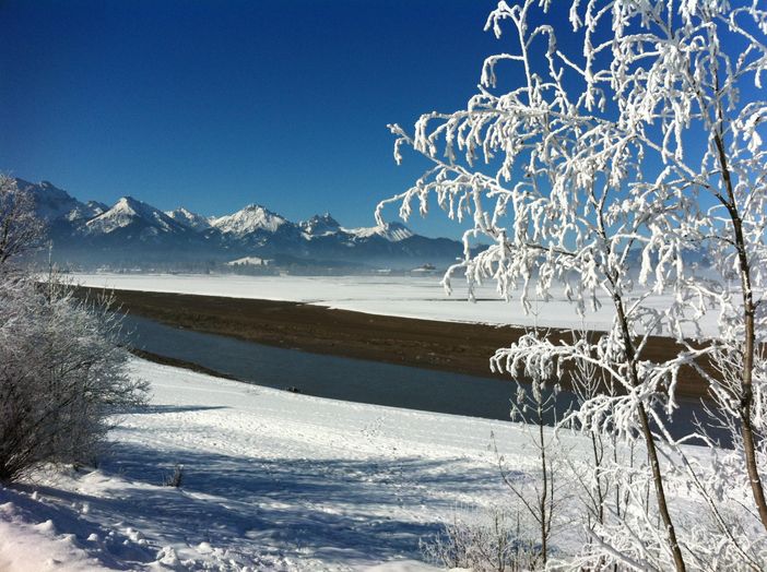 Forggensee im Winter