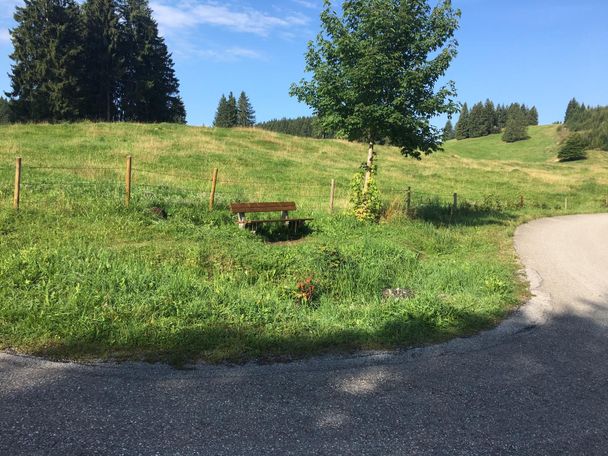 Ruhebank entlang des Wegs zum Buchenberg