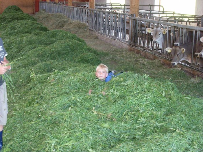 Bei uns im Stall - Landwirtschaft hautnah erleben