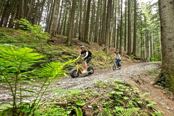 Downhill Roller in Ofterschwang im Allgäu