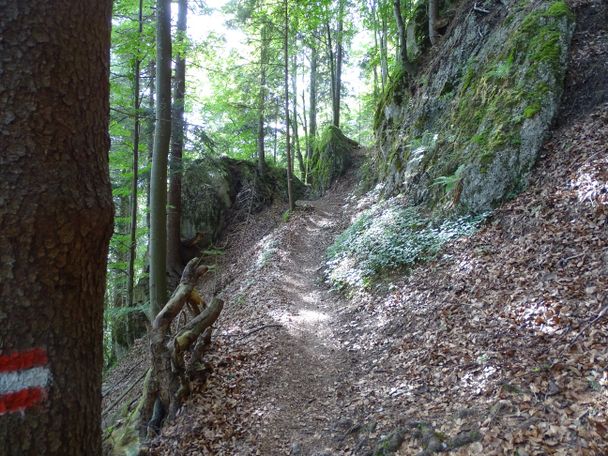 Waldweg Richtung Alatsee