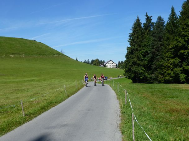 Radweg vom Pfänder in Richtung Jungholz