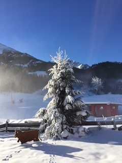 Ausblick  der Fewo ALPIN