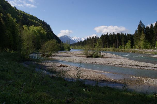 Auwaldsee mit dem Kinderwagen - Spaziergang ab Fischen