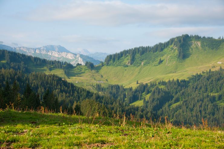 Aussicht am Gelbhansekopf