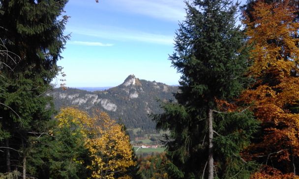 Blick auf die Burgruine Falkenstein vom Aufstieg auf den Breitenberg