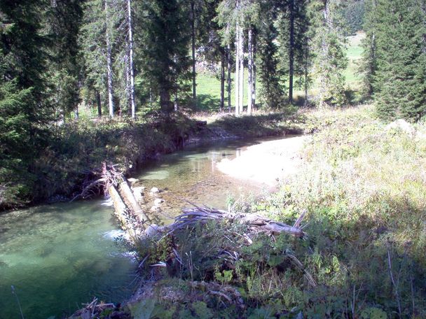 Ein idyllischer Bachlauf.