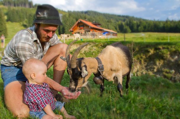 Alpe Untere Reuterwanne