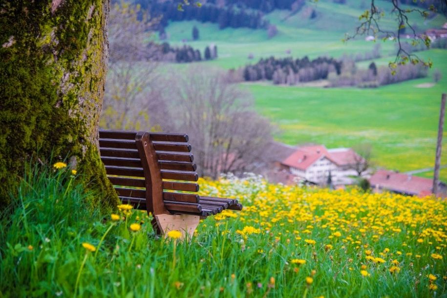 NIMM PLATZ UND GENIEß DIE AUSSICHT