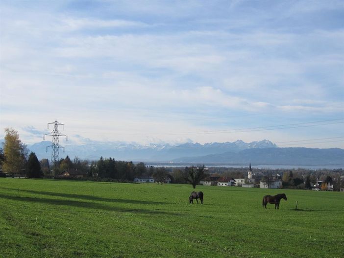 Bodensee mit Säntis