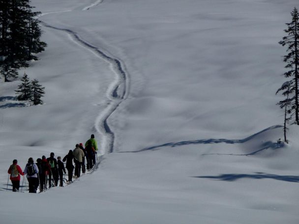 Planet B. Skischule Balderschwang