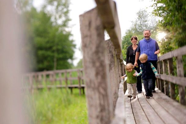 Aussichtsplattform im Benninger Ried