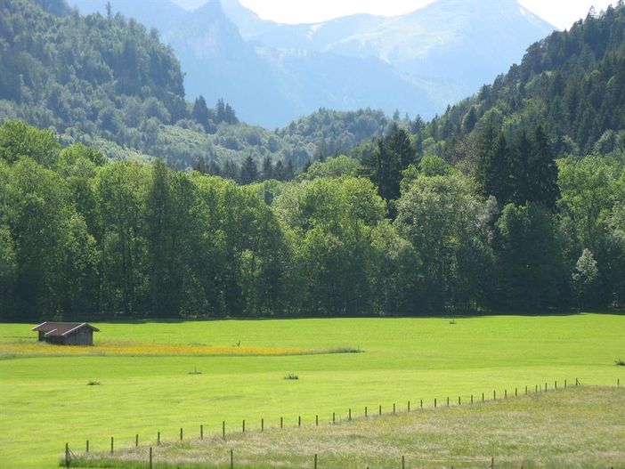 Aussicht Zimmer