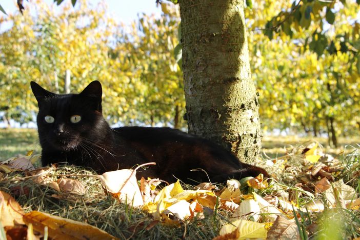 Herbstzeit