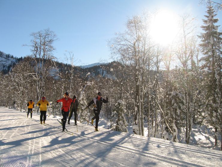 Langlauf in Balderschwang