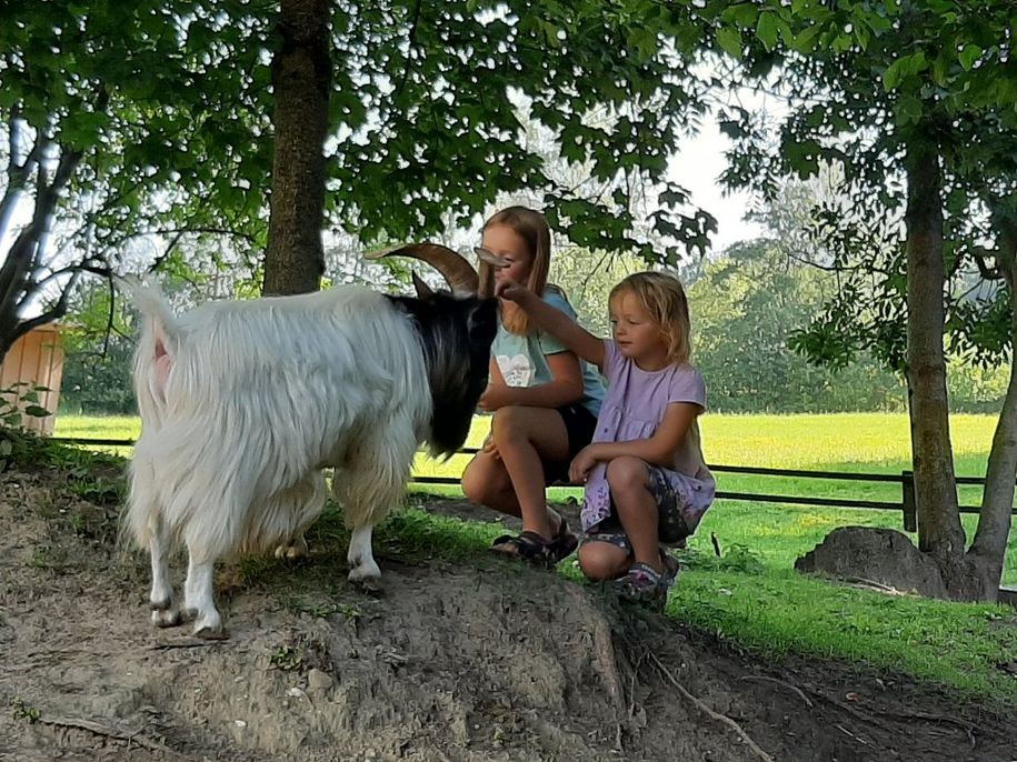 Kuscheln mit "Glückspilz"