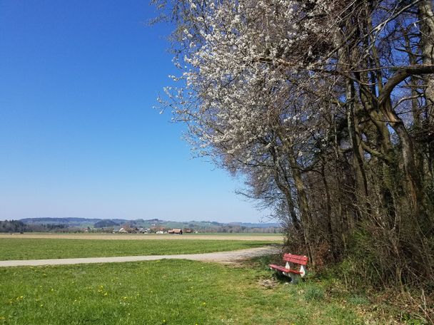 Sonnenbänkchen nahe Haslach