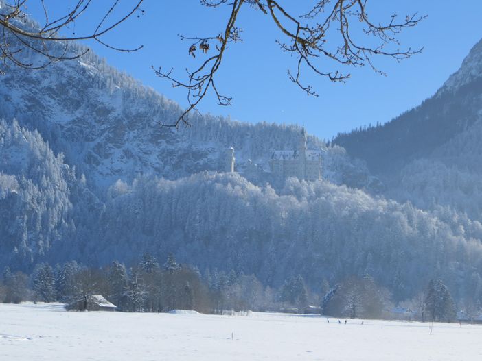 Schloß Neuschwanstein