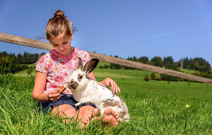 Tiere und Natur erkunden