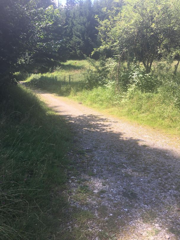 Nach der Mangmühle in Richtung Tiefentalbrücke