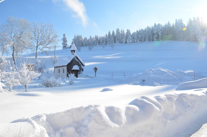 Garten im Winter