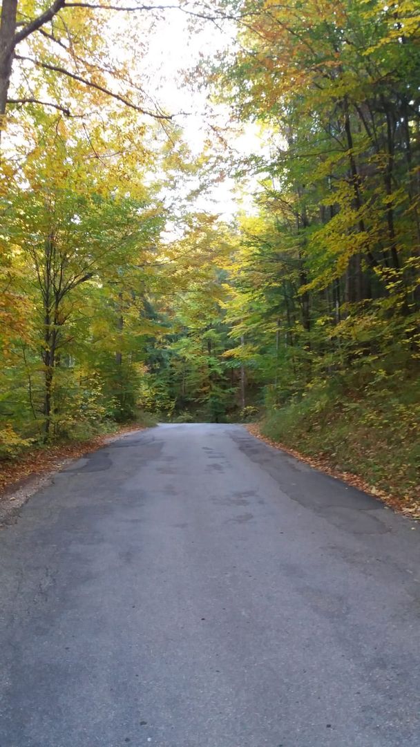 Fahrstraße vom Alatsee zum Parkplatz am Weißensee