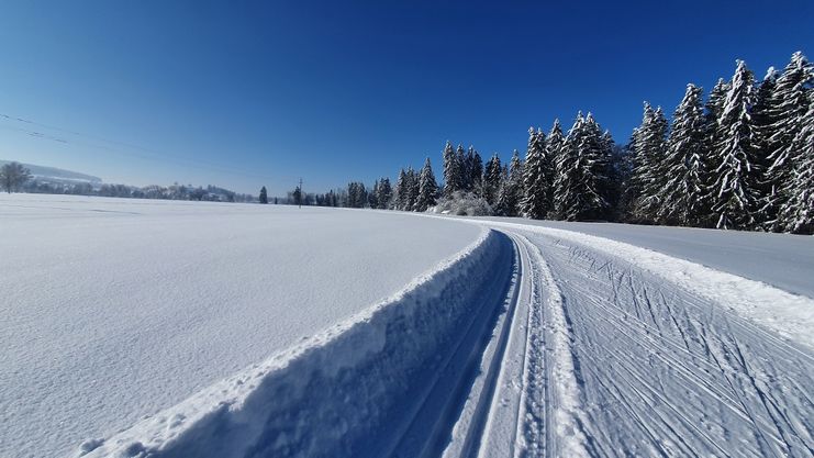 Sägewerk Runde