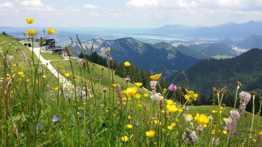 Blick vom Breitenberg