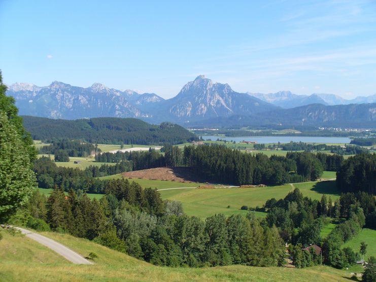 Aussicht vom Beichelstein Richtung Säuling