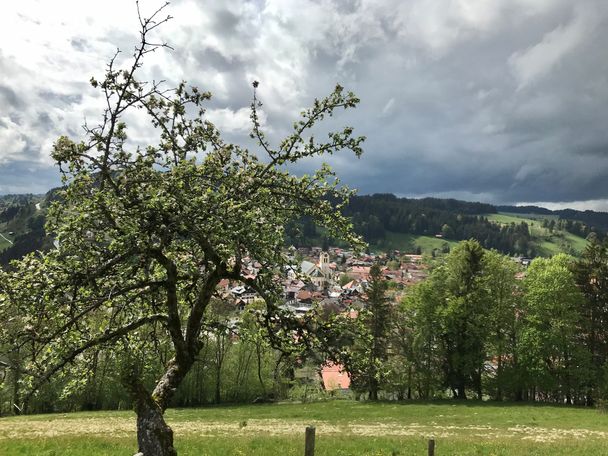 Frühlingserwachen am Staufen