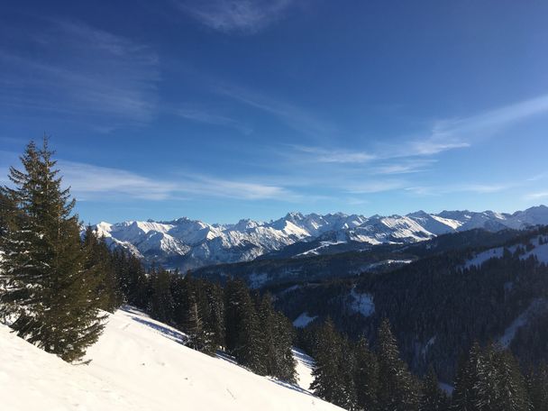 Blick auf die Allgäuer Alpen