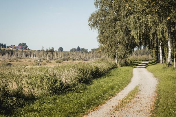 Museen, Moor, mehr - RadReiseRegion Naturschatzkammern