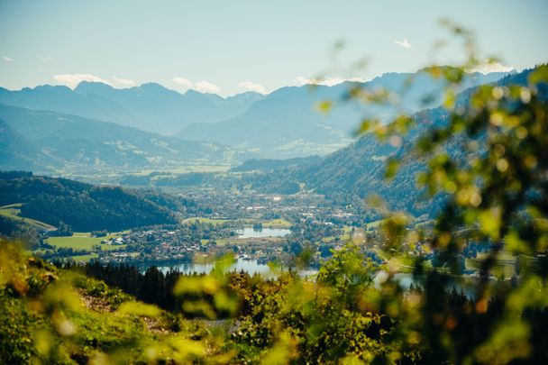 Blick auf den Großen Alpsee