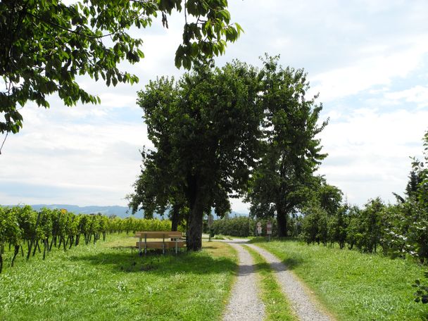 Auf dem Genießerweg