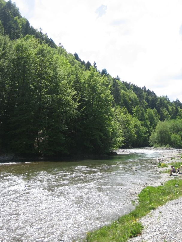 Die Breitach auf dem Weg nach Oberstdorf