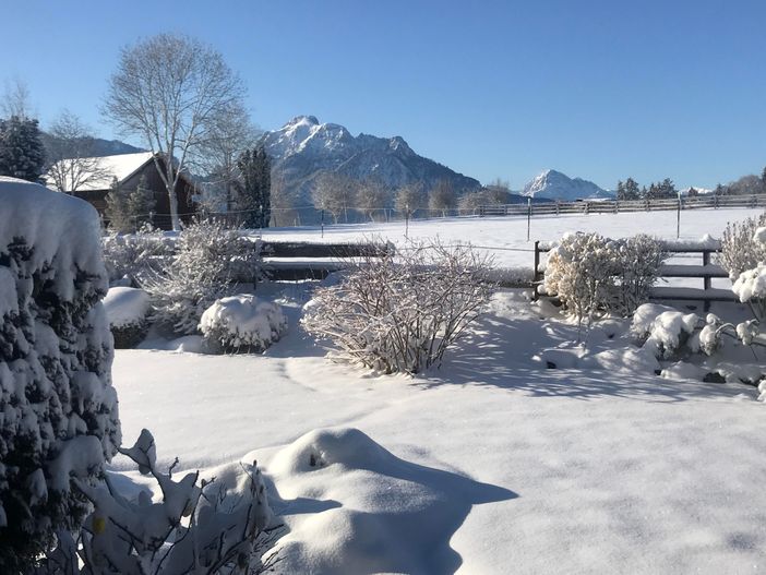 Garten im Winter