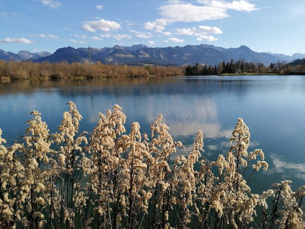 Am Sonthofer See