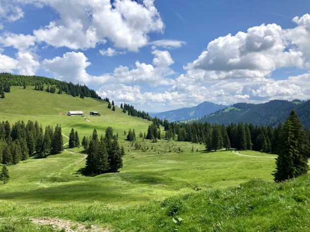 Ausblicke auf das Ehrenschwanger Tal