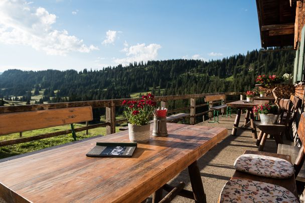 Blick von der Freyburger Alpe bei Obermaiselstein