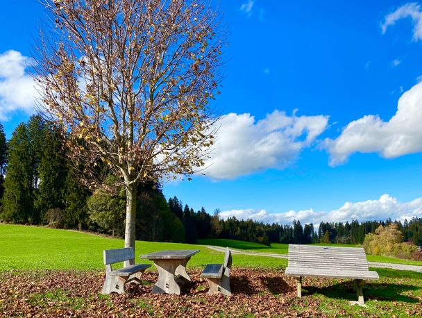 Holzleute Stiefenhofen Westallgäu