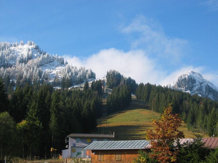 Spieser in Herbstlaune