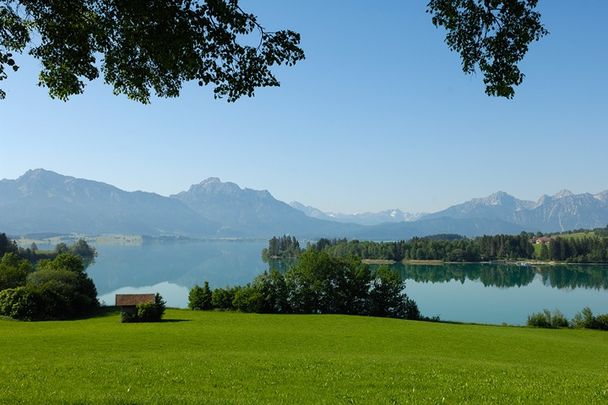 Blick über den Forggensee