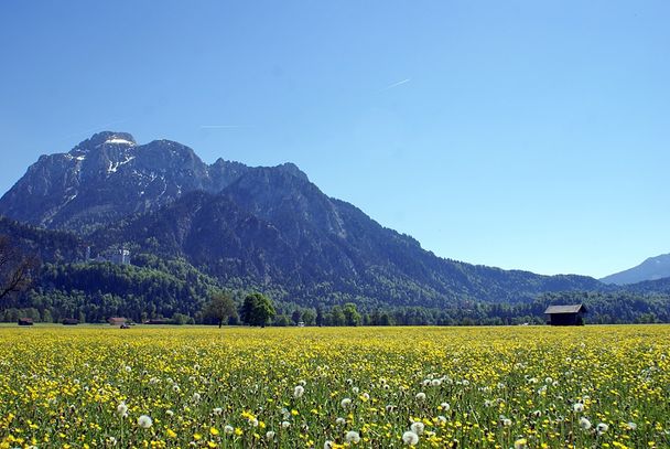 Säuling im Frühjahr von Schwangau aus