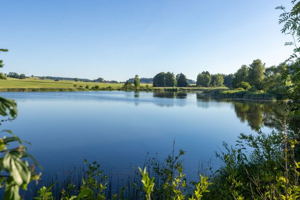 Weiher bei Dietmannsried