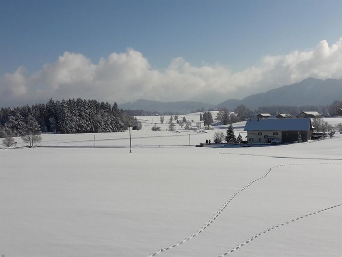 Spuren im Schnee vor dem Haus Schabel Eisenberg