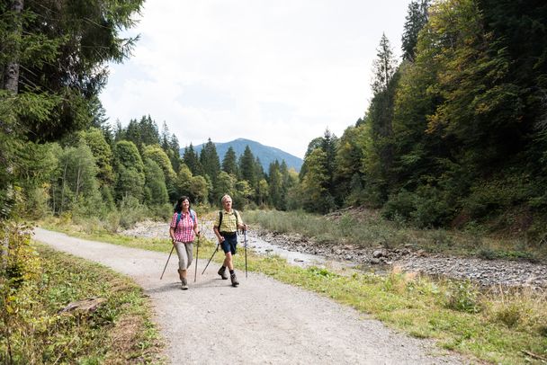 An der Bolgenach bei Balderschwang