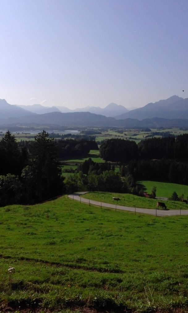 Blick von der Alpe Beichelstein